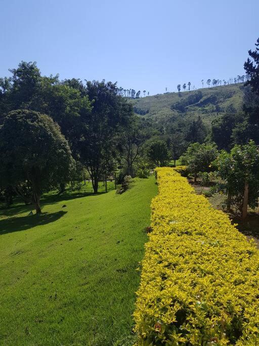 Recanto Dos Beija Flores, Chale Lantana C Монти-Алегри-ду-Сул Экстерьер фото